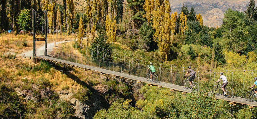 New Zealand By Bicycle